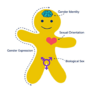 Quelle http://www.healthpolicyproject.comindex.cfmID=GSDTrainingM2