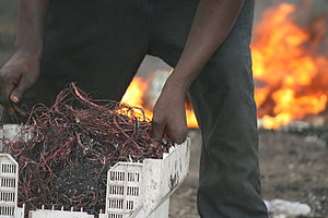 100e Kinder wir er arbeiten auf den Müllhalden in Accra