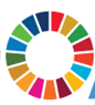 Logo sustainable development goals