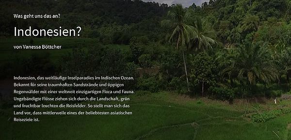 Foto Webreportage Palmöl